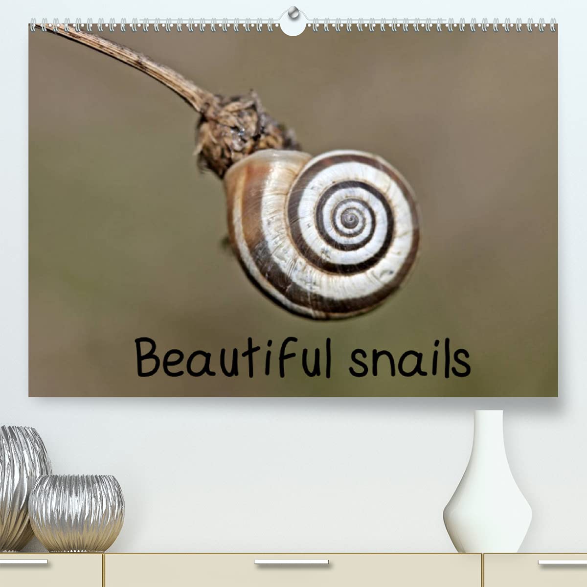 Beautiful snails (Premium, hochwertiger DIN A2 Wandkalender 2022, Kunstdruck in Hochglanz): Six different native snail species in 13 color macro shots. (Monthly calendar, 14 pages ) Film, Art & Culture