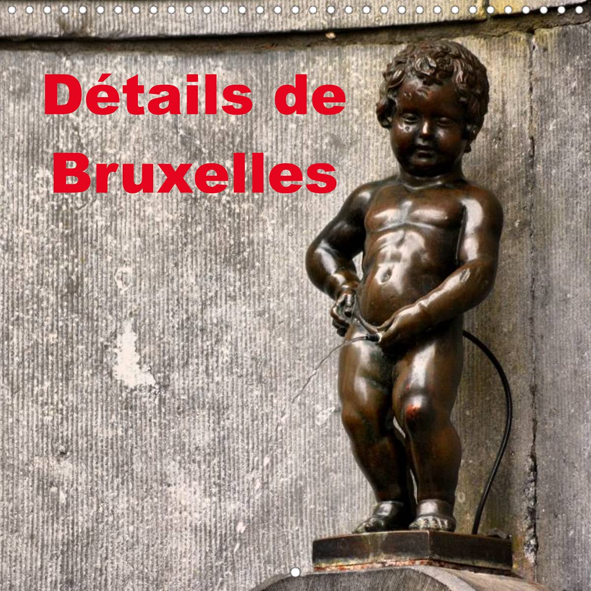 Détails de Bruxelles (Calendrier mural 2022 300 × 300 mm Square): La capitale de la Belgique mérite toujours une visite (Calendrier mensuel, 14 Pages ) Leisure, Home & Garden