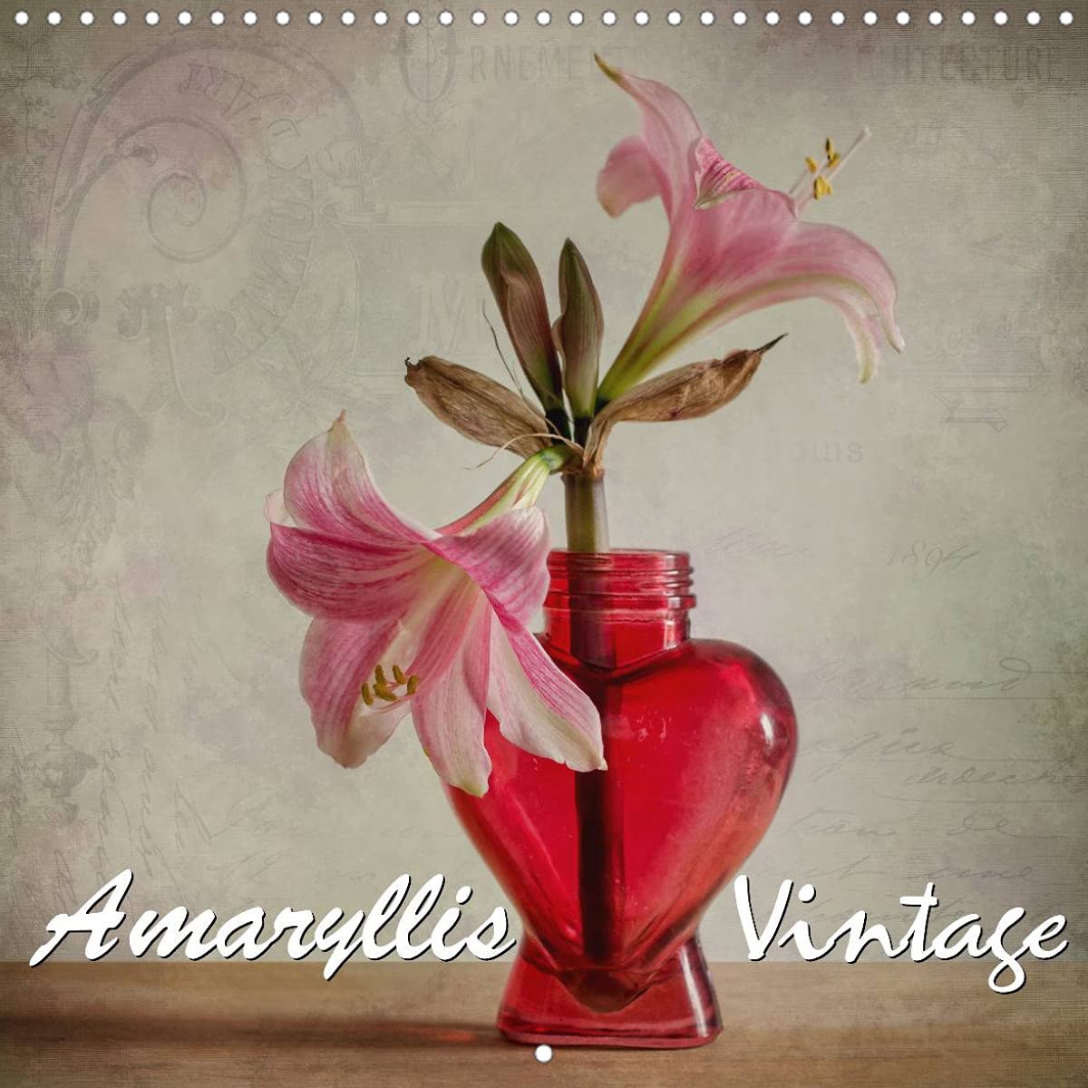 Amaryllis Vintage (Wall Calendar 2022 300 × 300 mm Square): Amaryllis variations in vintage style (Monthly calendar, 14 pages ) Leisure, Home & Garden