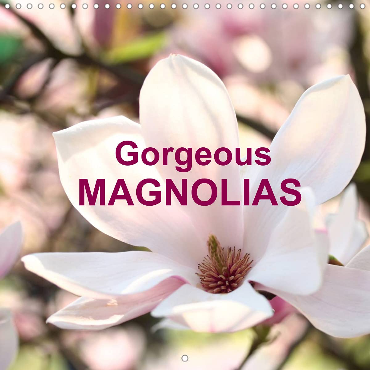 Gorgeous Magnolias (Wall Calendar 2022 300 × 300 mm Square): A whole year of magnolia enjoyment (Monthly calendar, 14 pages ) Leisure, Home & Garden