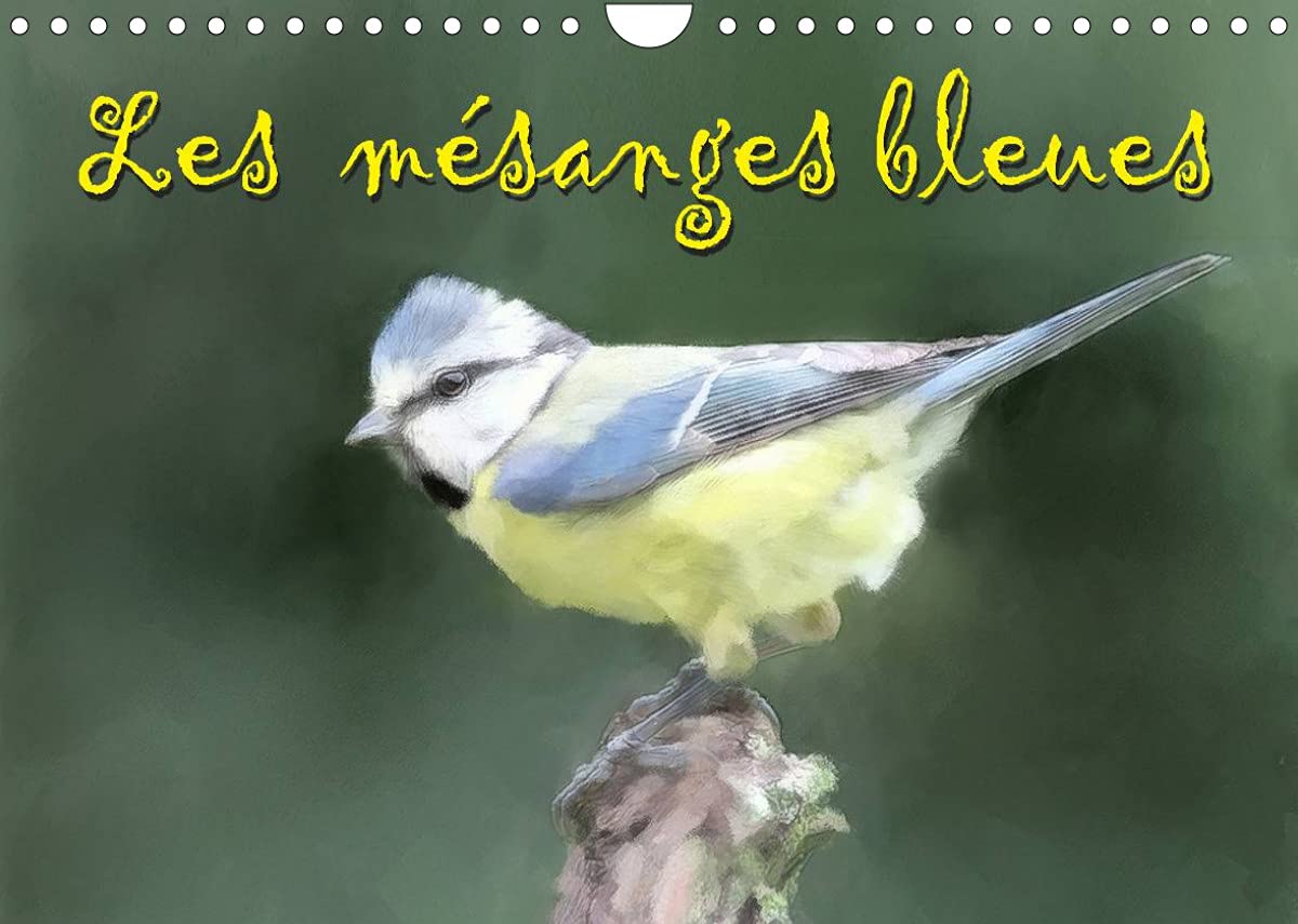 Les mésanges bleues (Calendrier mural 2022 DIN A4 horizontal): Série de pastels de mésanges bleues (Calendrier mensuel, 14 Pages ) Business & Technology
