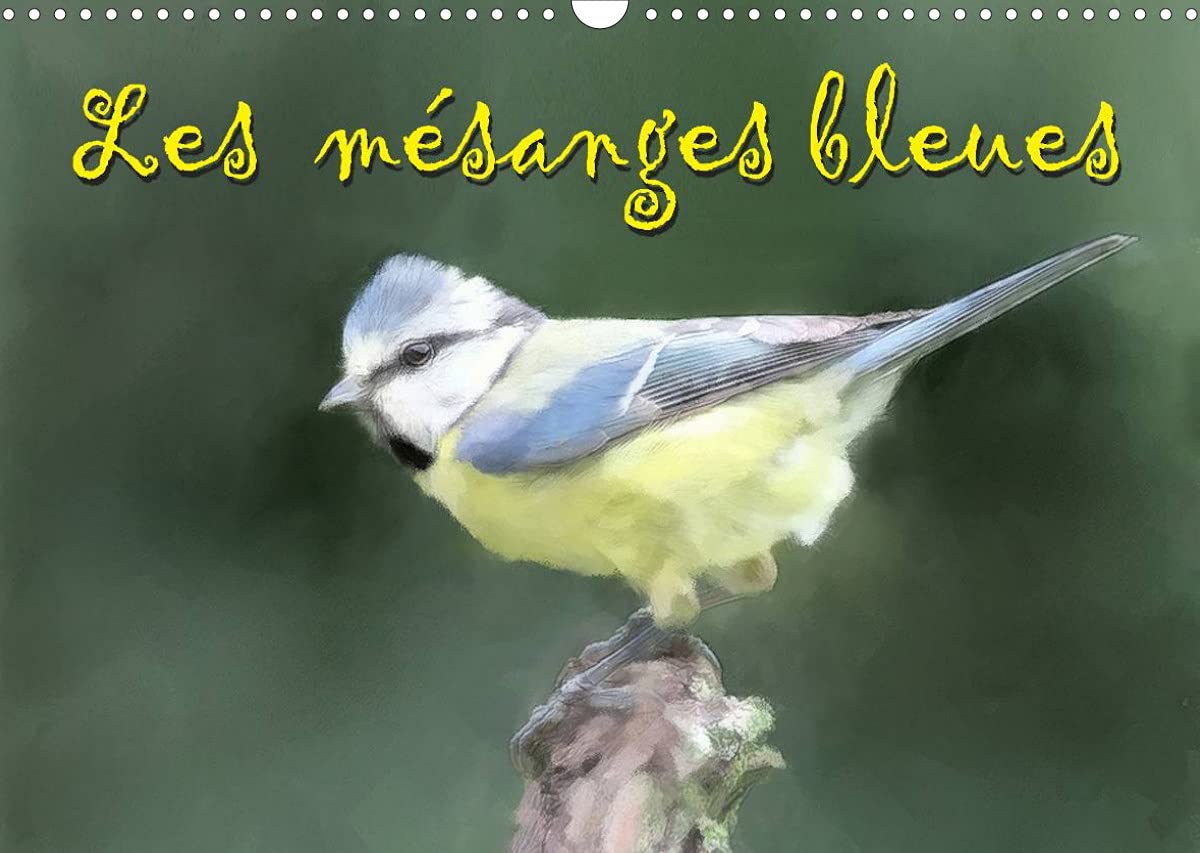 Les mésanges bleues (Calendrier mural 2022 DIN A3 horizontal): Série de pastels de mésanges bleues (Calendrier mensuel, 14 Pages ) Business & Technology
