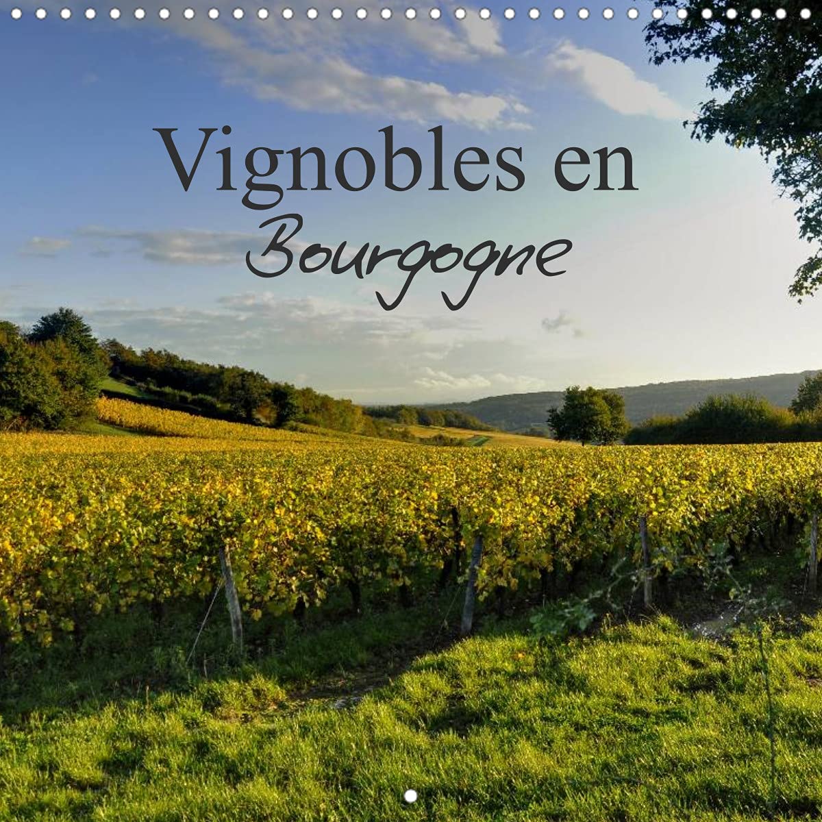 Vignobles en Bourgogne (Calendrier mural 2022 300 × 300 mm Square): Magnifique région réputée dans le monde entier pour la qualité de son nectar. (Calendrier mensuel, 14 Pages ) Business, Finance & Career