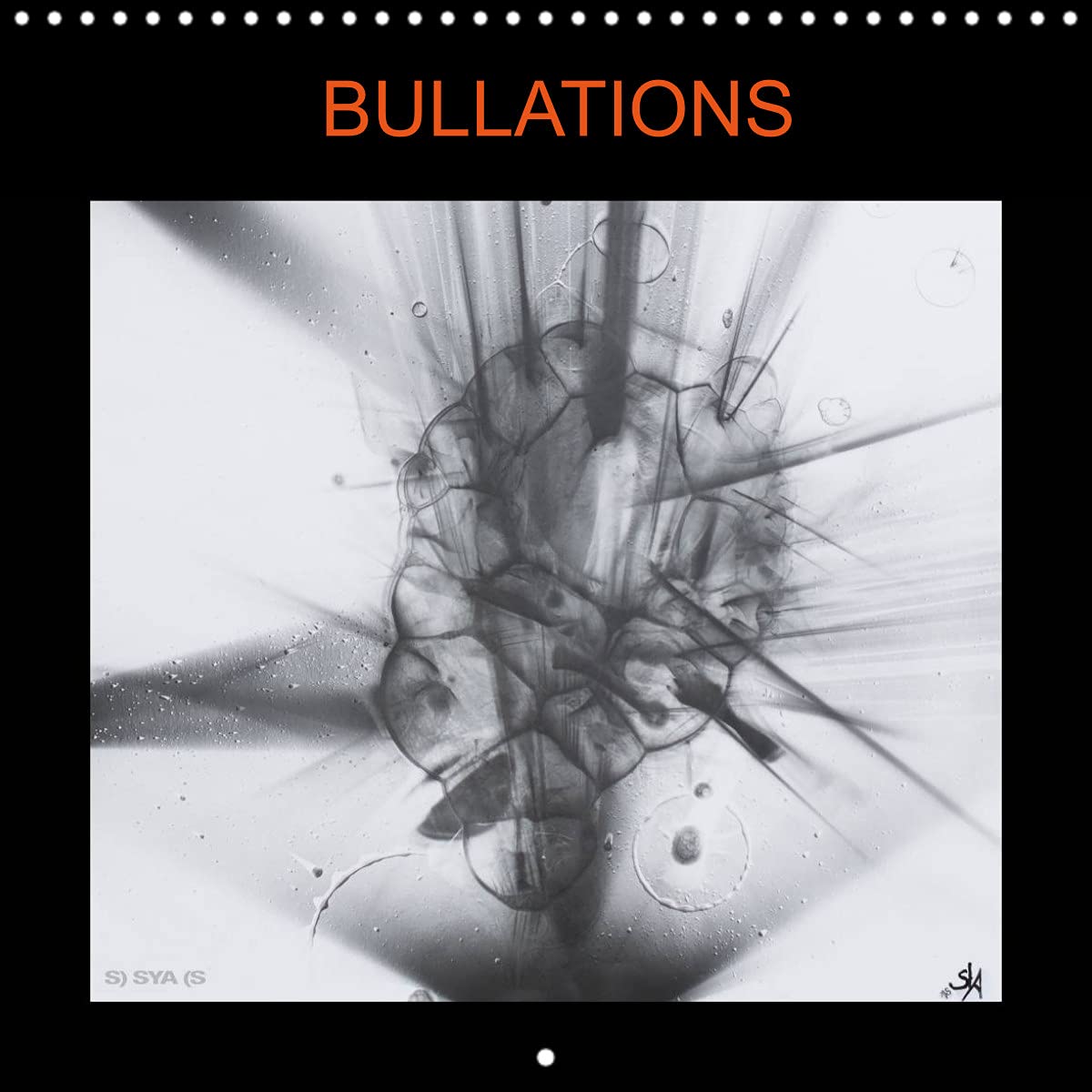 Bullations (Calendrier mural 2022 300 × 300 mm Square): La lumière dans tout ses états (Calendrier mensuel, 14 Pages ) Contemporary literature