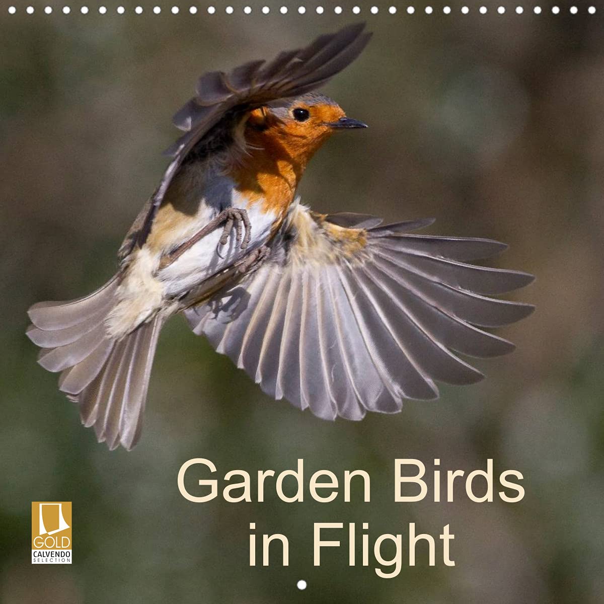 Garden Birds in Flight (Wall Calendar 2022 300 × 300 mm Square): Photographs of garden birds in flight. (Monthly calendar, 14 pages ) Film, Art & Culture
