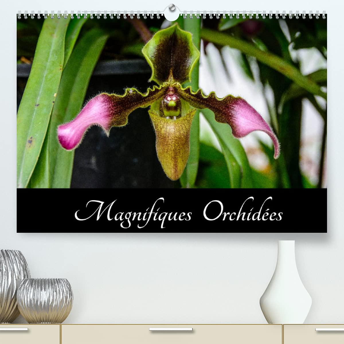 Magnifiques Orchidées (Premium, hochwertiger DIN A2 Wandkalender 2022, Kunstdruck in Hochglanz): Belles photographies d'orchidées exotiques (Calendrier mensuel, 14 Pages ) Leisure, Home & Garden