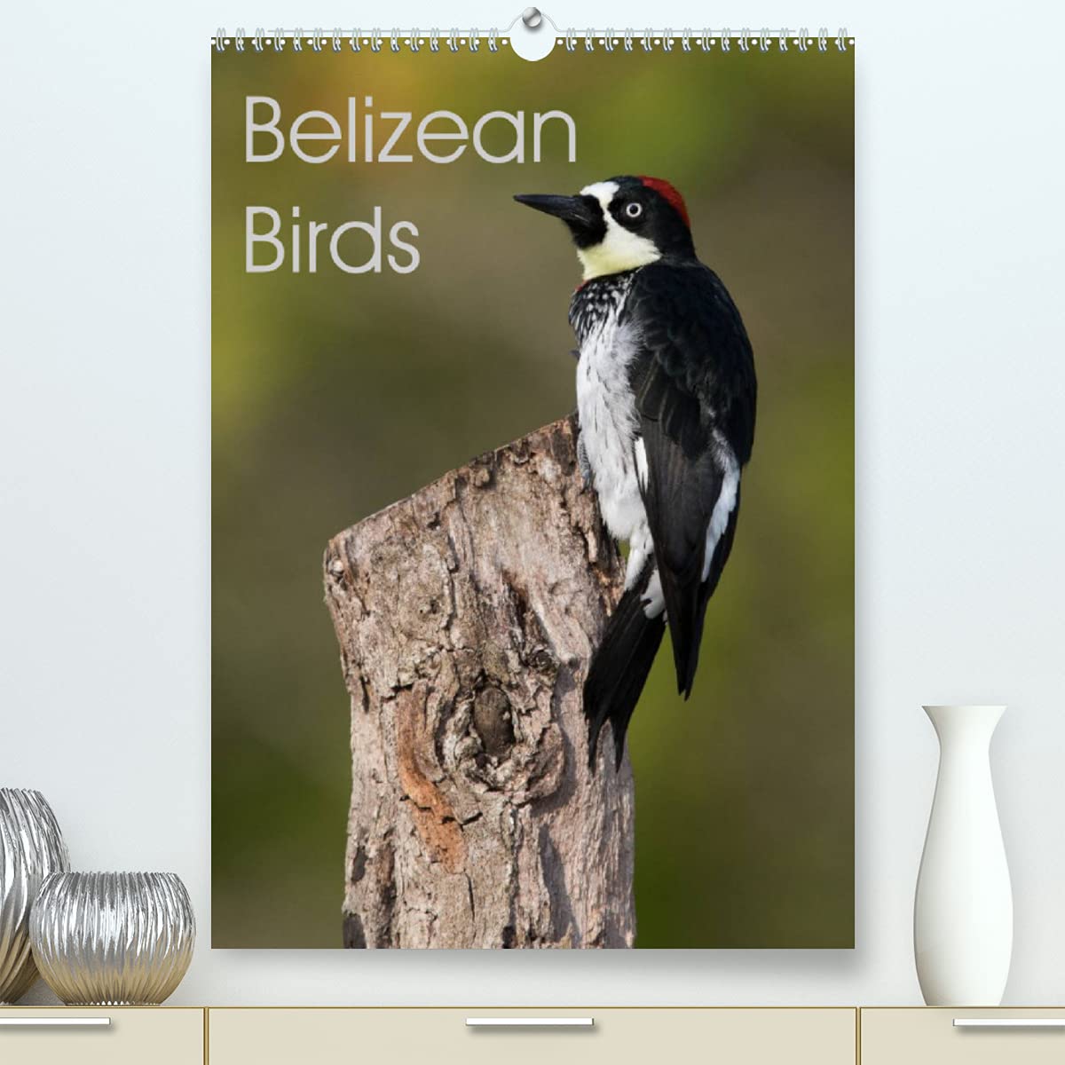 Belizean Birds (Premium, hochwertiger DIN A2 Wandkalender 2022, Kunstdruck in Hochglanz): Some of the beautiful birds of Belize (Monthly calendar, 14 pages ) Leisure, Home & Garden