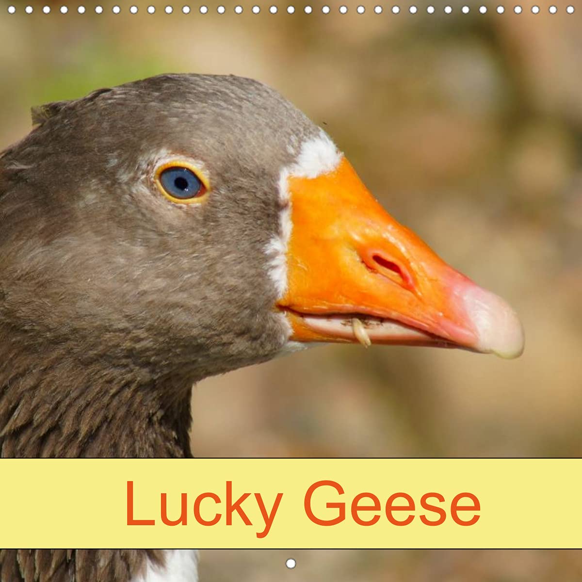 Lucky Geese (Wall Calendar 2022 300 × 300 mm Square): Fowl and Birds (Monthly calendar, 14 pages ) Natural Sciences