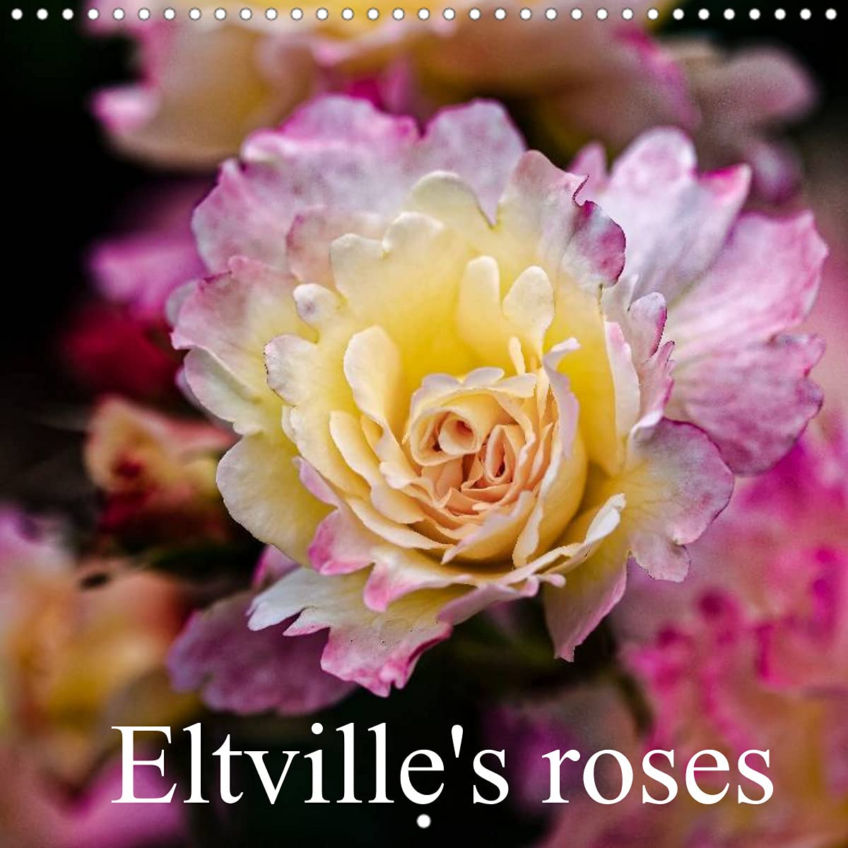 Eltville's roses (Wall Calendar 2022 300 × 300 mm Square): This calendar takes you on a journey through a rose garden of a romantic castle in Germany (Monthly calendar, 14 pages ) Leisure, Home & Garden