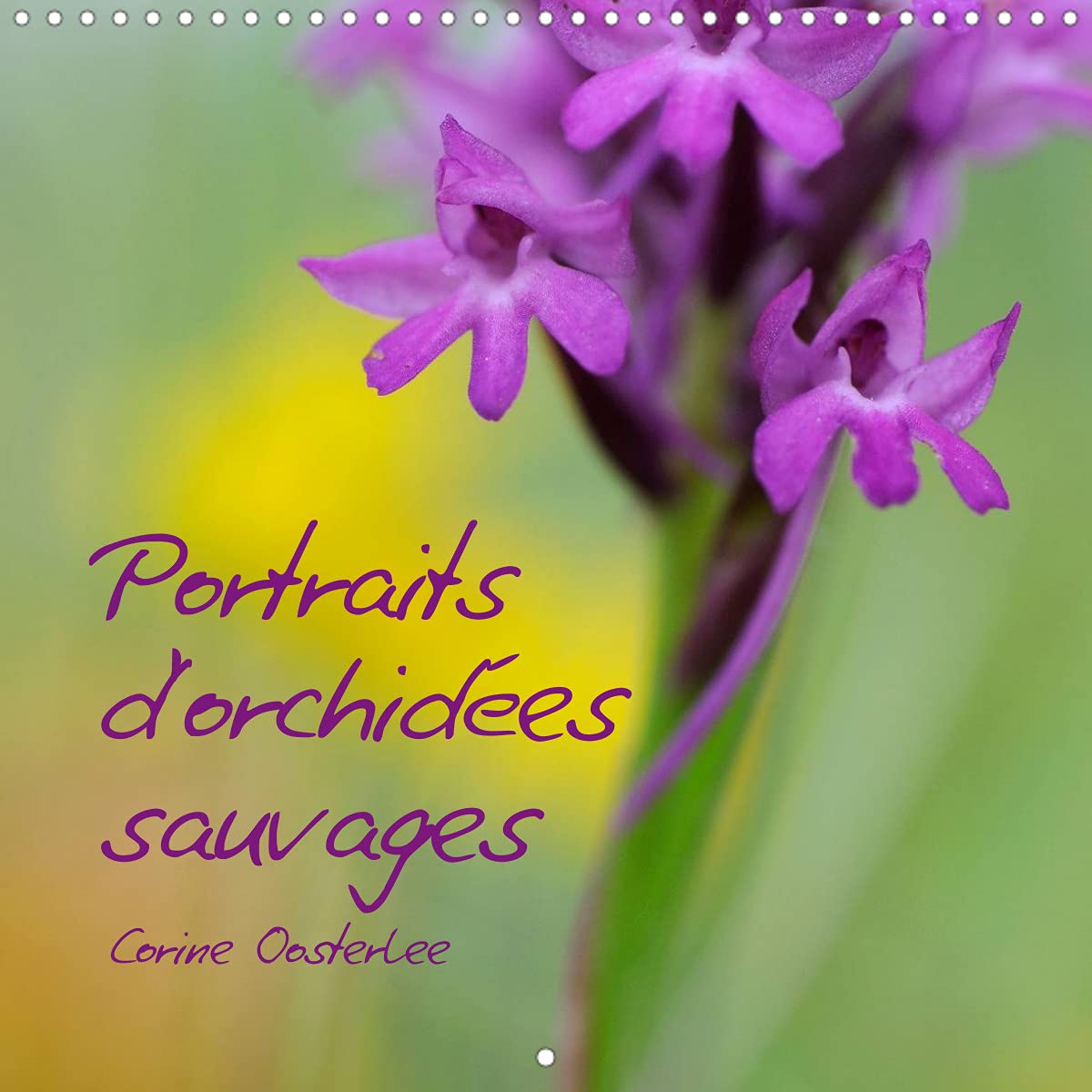 Portraits d'orchidées sauvages (Calendrier mural 2022 300 × 300 mm Square): Les plus belles des fleurs... (Calendrier mensuel, 14 Pages ) Leisure, Home & Garden