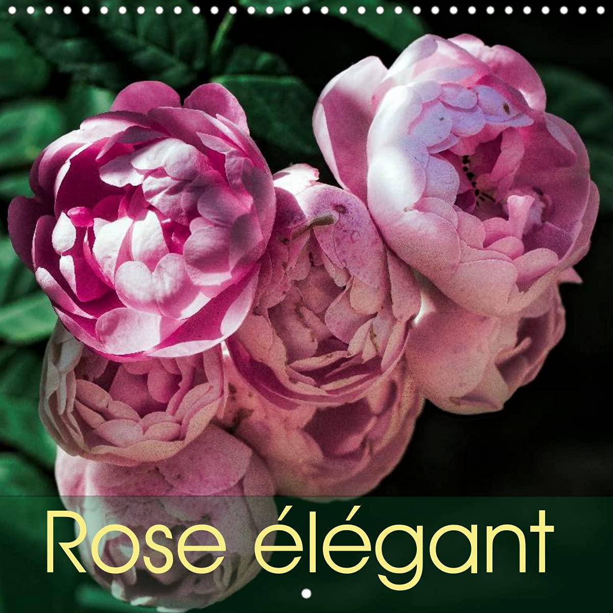 Rose élégant (Calendrier mural 2022 300 × 300 mm Square): Rose élégant vous emmène dans un voyage à travers une roseraie d'un château romantique allemand. (Calendrier mensuel, 14 Pages ) Leisure, Home & Garden