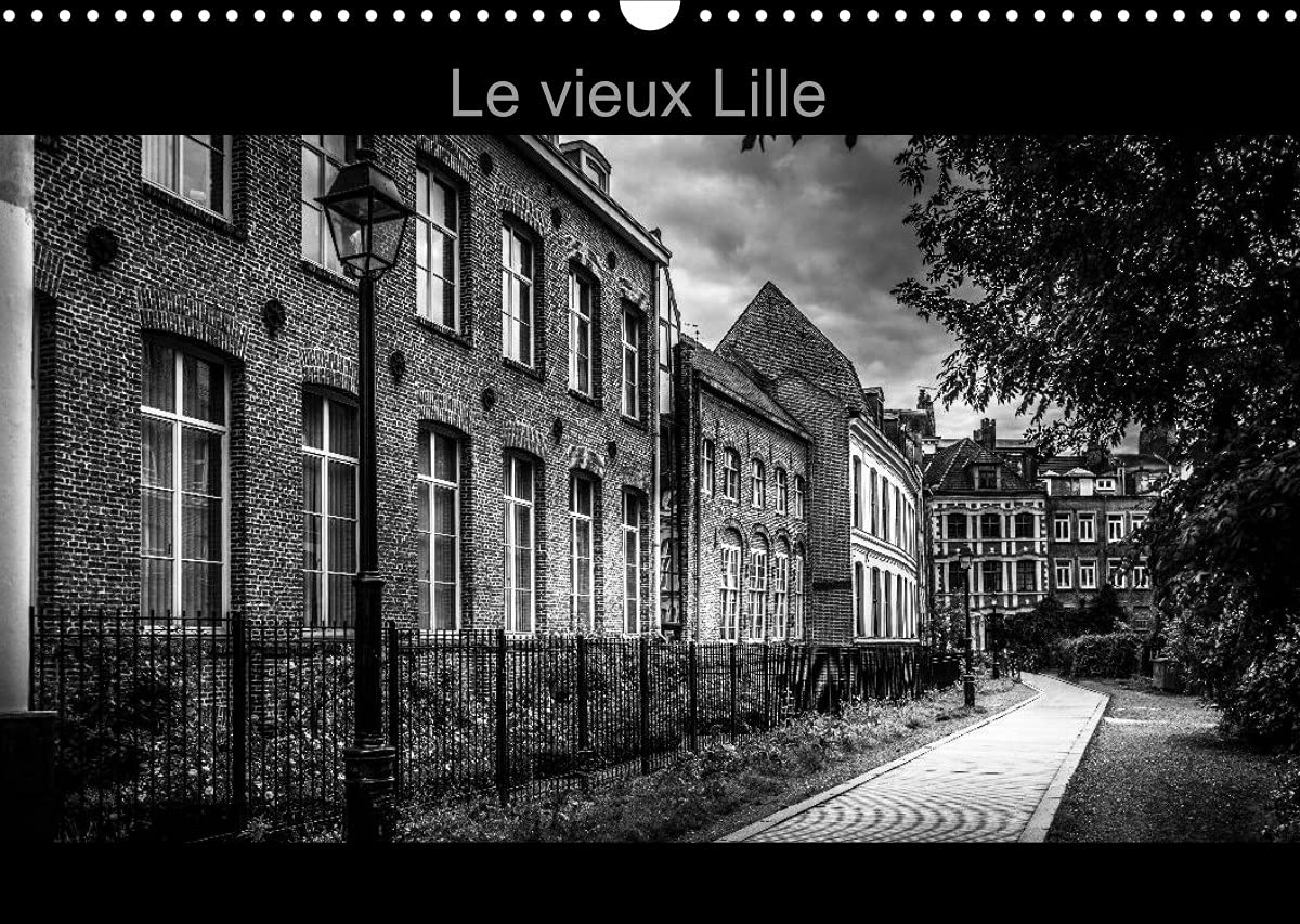 Le Vieux Lille (Calendrier mural 2022 DIN A3 horizontal): Photographies en noir et blanc des rues du "Vieux Lille" (Calendrier mensuel, 14 Pages ) book