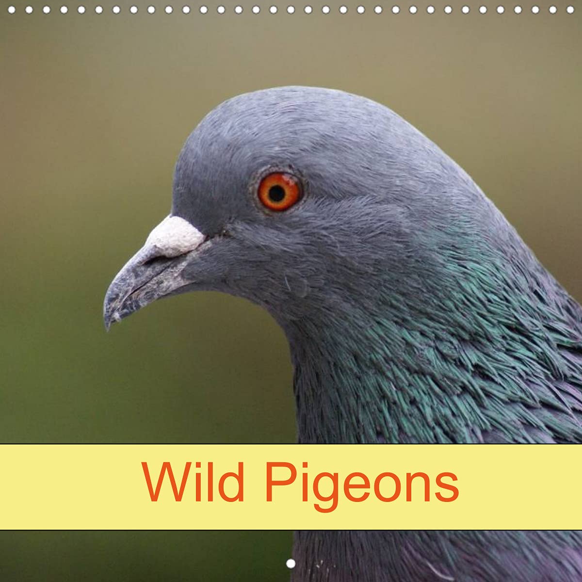 Wild Pigeons (Wall Calendar 2022 300 × 300 mm Square): Bird and Animal (Monthly calendar, 14 pages ) Film, Art & Culture