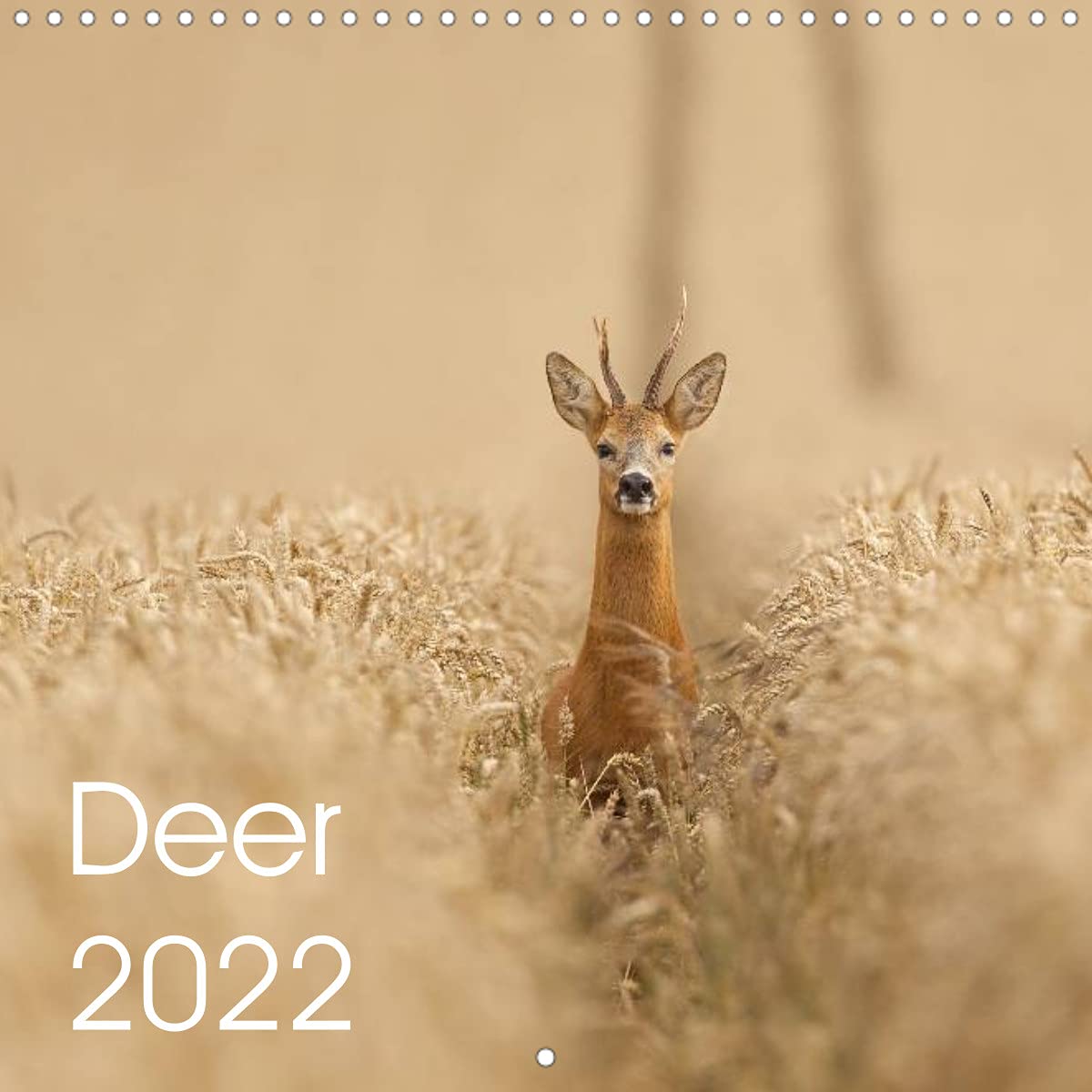Deer 2022 (Wall Calendar 2022 300 × 300 mm Square): Deer in the UK (Monthly calendar, 14 pages ) Film, Art & Culture