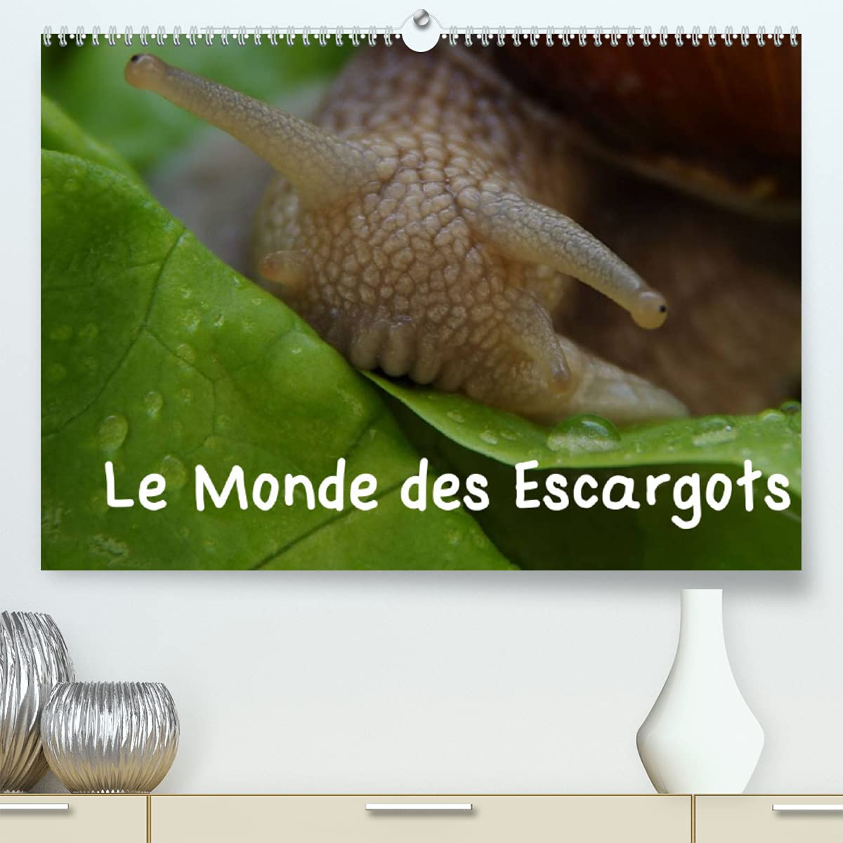 Le Monde des Escargots (Premium, hochwertiger DIN A2 Wandkalender 2022, Kunstdruck in Hochglanz): Escargots dans notre paysage (Calendrier mensuel, 14 Pages ) Children's books