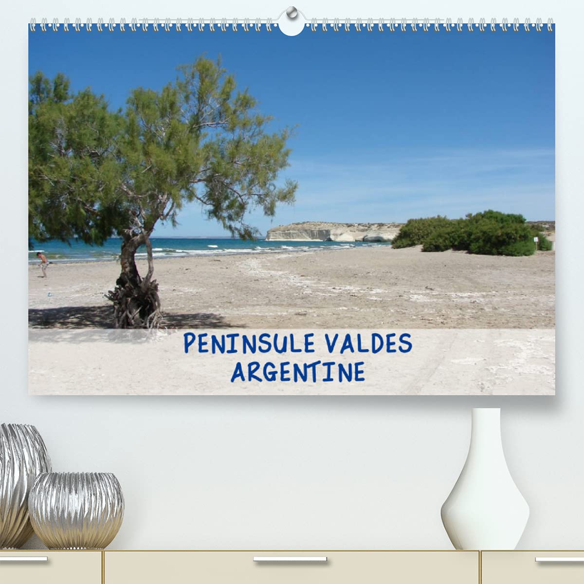 PENINSULE VALDES - ARGENTINE (Premium, hochwertiger DIN A2 Wandkalender 2022, Kunstdruck in Hochglanz): Péninsule Valdes, réserve naturelle d'Argentine (Calendrier mensuel, 14 Pages ) book