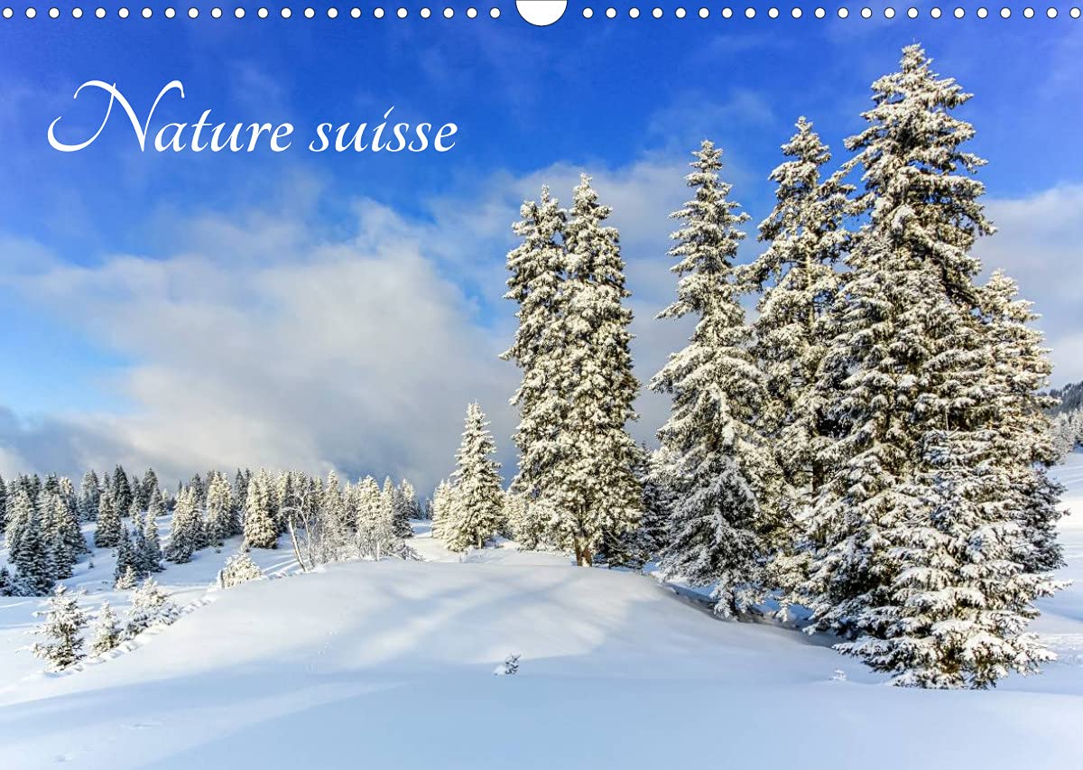 Nature suisse (Calendrier mural 2022 DIN A3 horizontal): Les paysages de Suisse, un plaisir pour les yeux ! (Calendrier mensuel, 14 Pages ) book