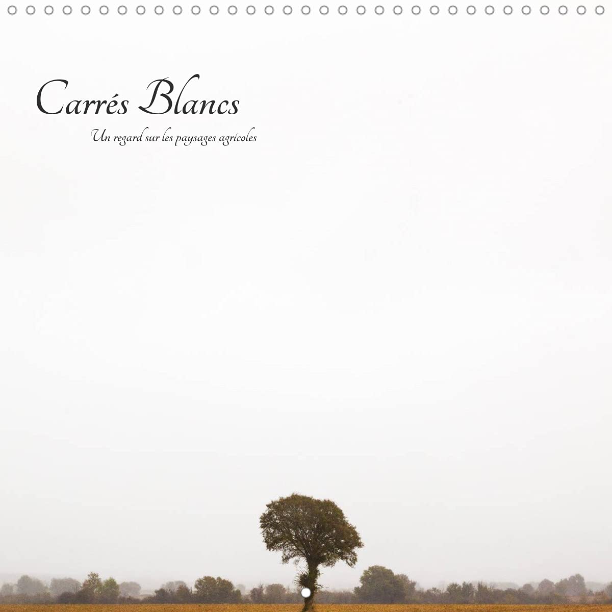 Carrés Blancs (Calendrier mural 2022 300 × 300 mm Square): Un regard sur les paysages agricoles (Calendrier mensuel, 14 Pages ) Leisure, Home & Garden