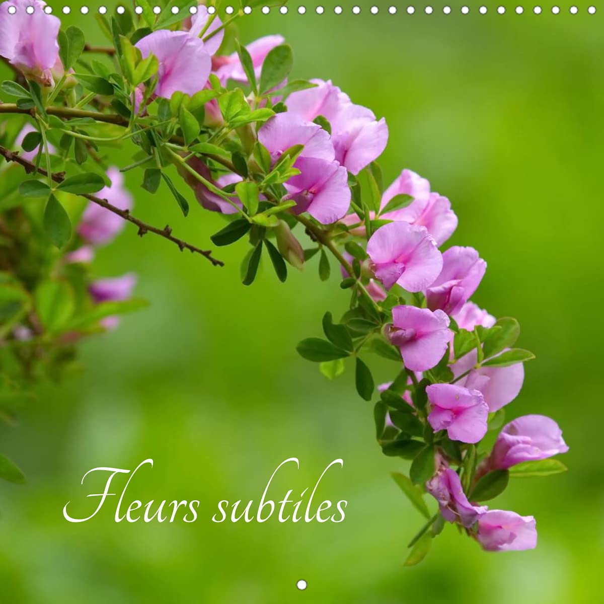 Fleurs subtiles (Calendrier mural 2022 300 × 300 mm Square): À la rencontre de la subtilité des fleurs... (Calendrier mensuel, 14 Pages ) Leisure, Home & Garden
