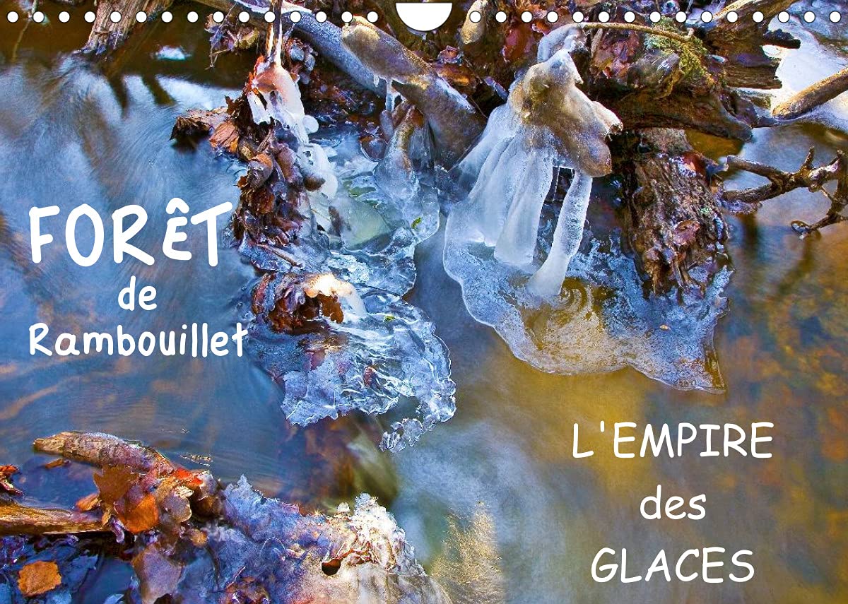 Forêt de Rambouillet - l'empire des Glaces (Calendrier mural 2022 DIN A4 horizontal): La forêt de Rambouillet en hiver (Calendrier mensuel, 14 Pages ) Film, Art & Culture