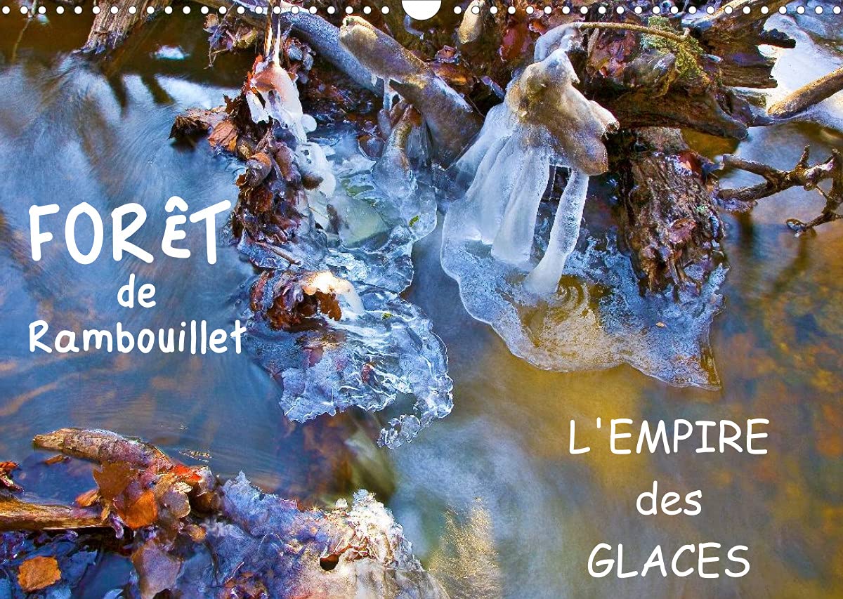 Forêt de Rambouillet - l'empire des Glaces (Calendrier mural 2022 DIN A3 horizontal): La forêt de Rambouillet en hiver (Calendrier mensuel, 14 Pages ) Film, Art & Culture