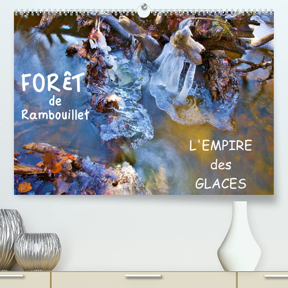 Forêt de Rambouillet - l'empire des Glaces (Premium, hochwertiger DIN A2 Wandkalender 2022, Kunstdruck in Hochglanz): La forêt de Rambouillet en hiver (Calendrier mensuel, 14 Pages ) Film, Art & Culture