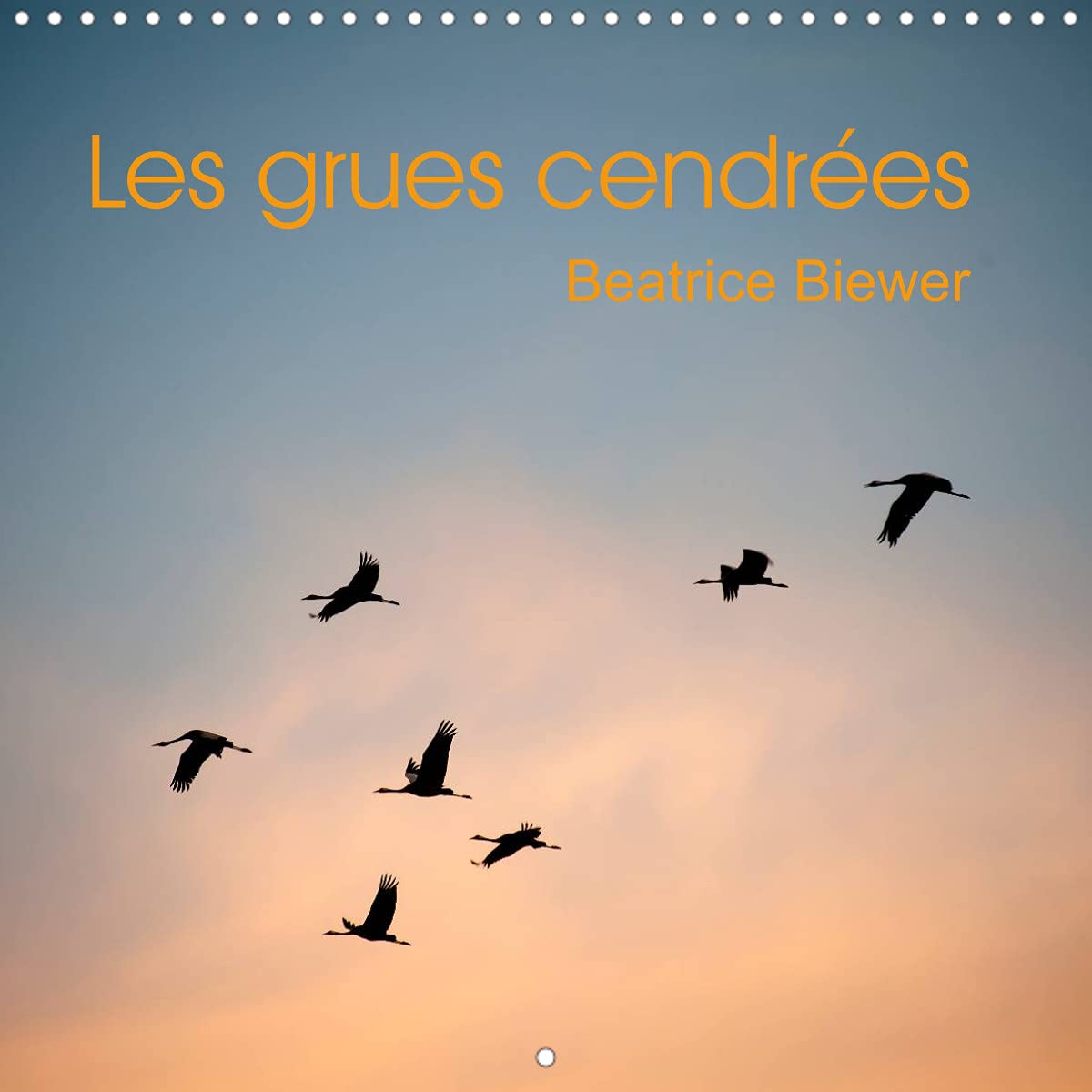 Les grues cendrées (Calendrier mural 2022 300 × 300 mm Square): Le vol des grands migrateurs (Calendrier mensuel, 14 Pages ) Film, Art & Culture