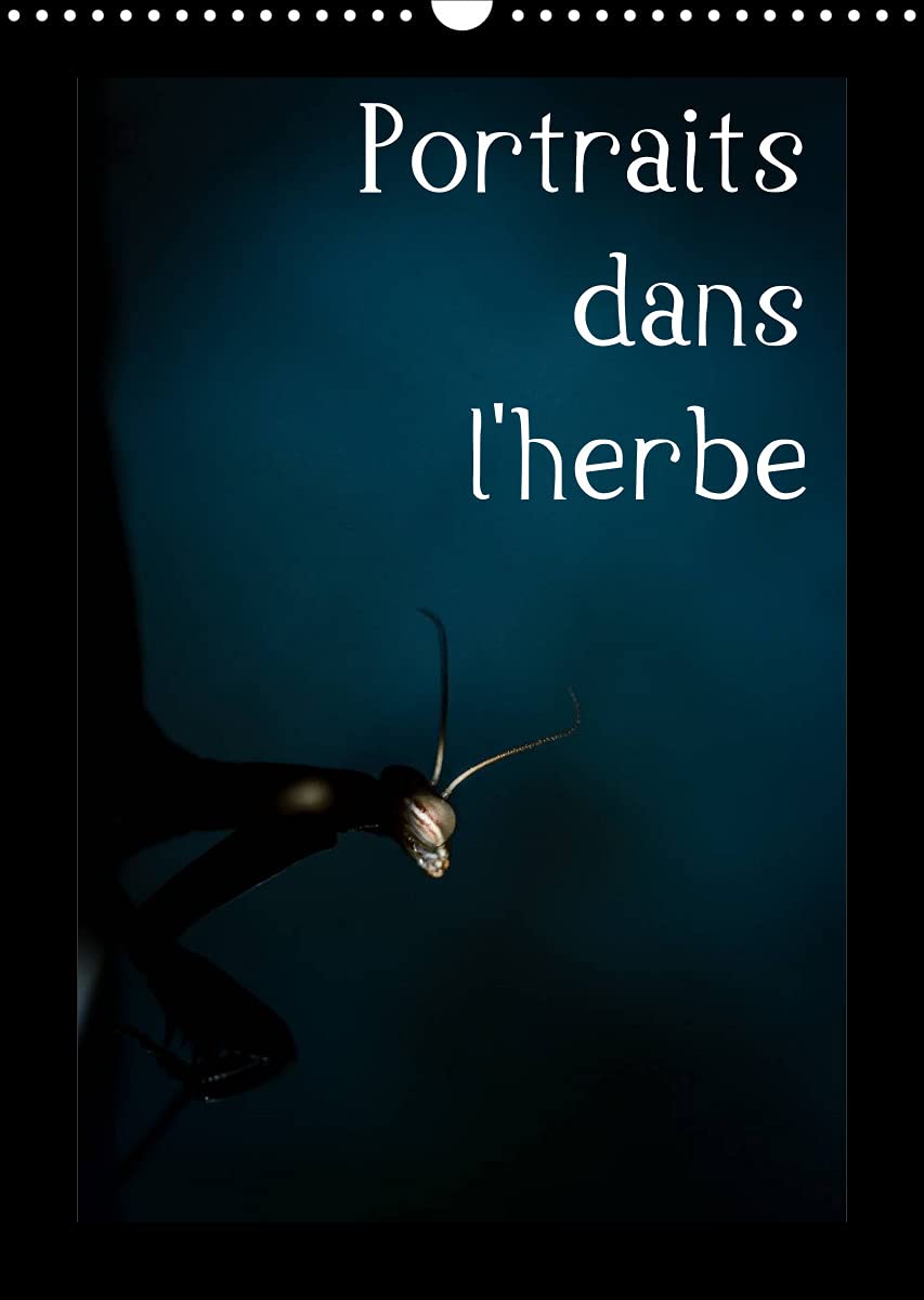 Portraits dans l'herbe (Calendrier mural 2022 DIN A3 vertical): Portrait d'insectes des Pyrénées dans leur environnement (Calendrier mensuel, 14 Pages ) Leisure, Home & Garden