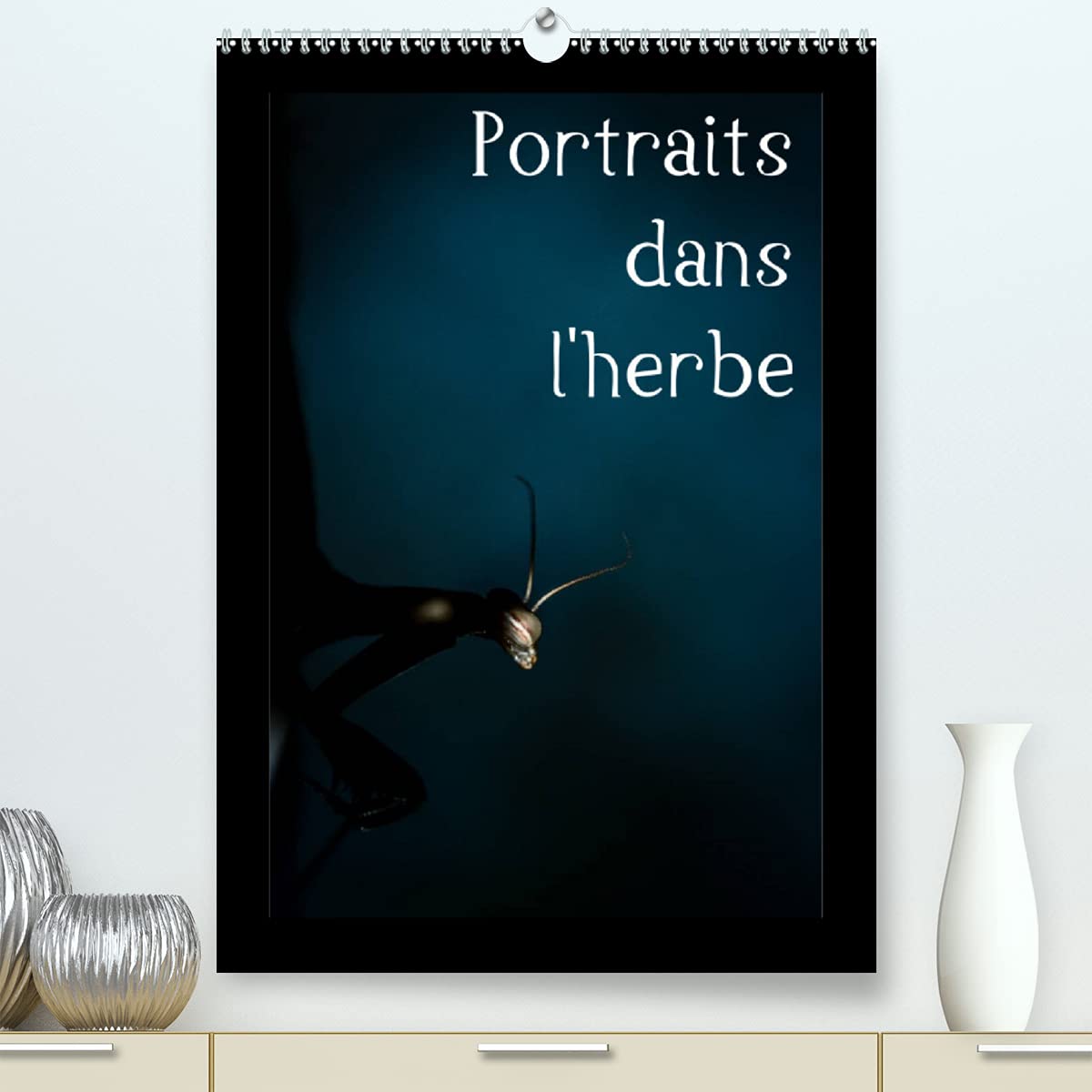 Portraits dans l'herbe (Premium, hochwertiger DIN A2 Wandkalender 2022, Kunstdruck in Hochglanz): Portrait d'insectes des Pyrénées dans leur environnement (Calendrier mensuel, 14 Pages ) Leisure, Home & Garden