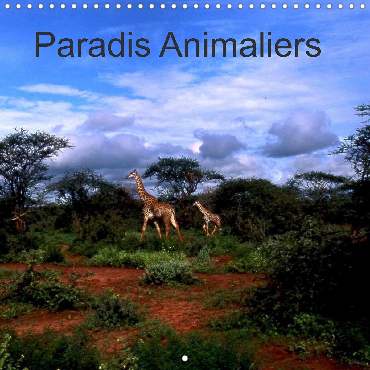 Paradis Animaliers (Calendrier mural 2022 300 × 300 mm Square): Notre planète est riche de spectacles naturels uniques, sachons la regarder. (Calendrier mensuel, 14 Pages ) Leisure, Home & Garden
