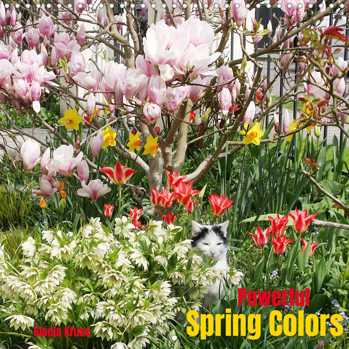 Powerful Spring Colors (Wall Calendar 2022 300 × 300 mm Square): The season that gives us new strength and energy (Monthly calendar, 14 pages ) Leisure, Home & Garden