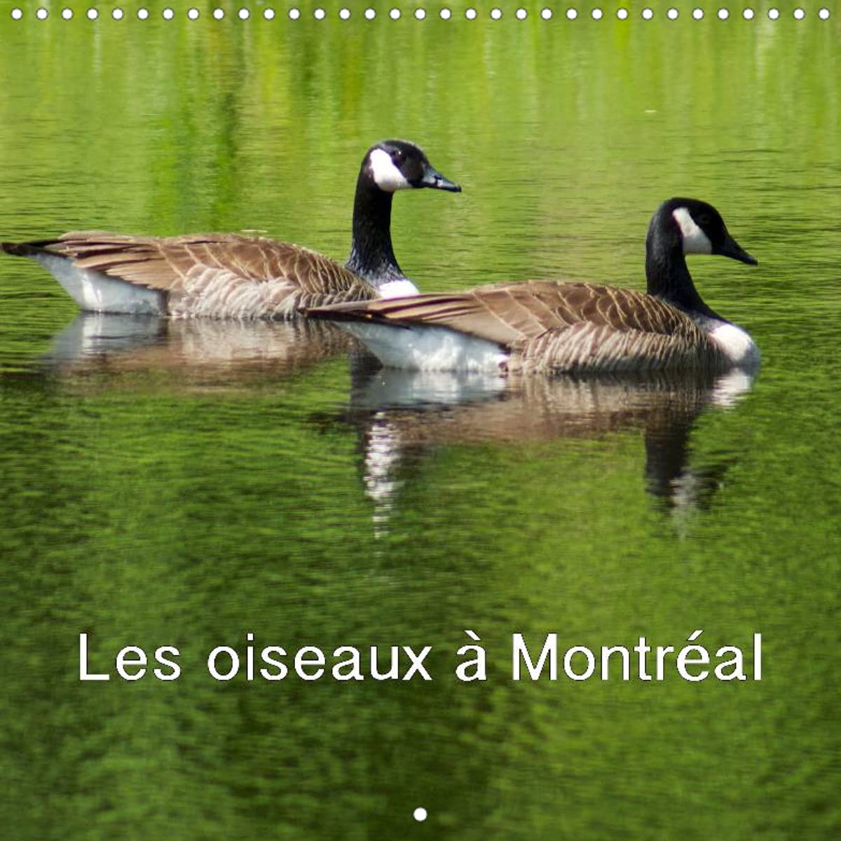Les oiseaux à Montréal (Calendrier mural 2022 300 × 300 mm Square): Calendrier mensuel avec des photographies du Canada (Calendrier mensuel, 14 Pages ) Natural Sciences
