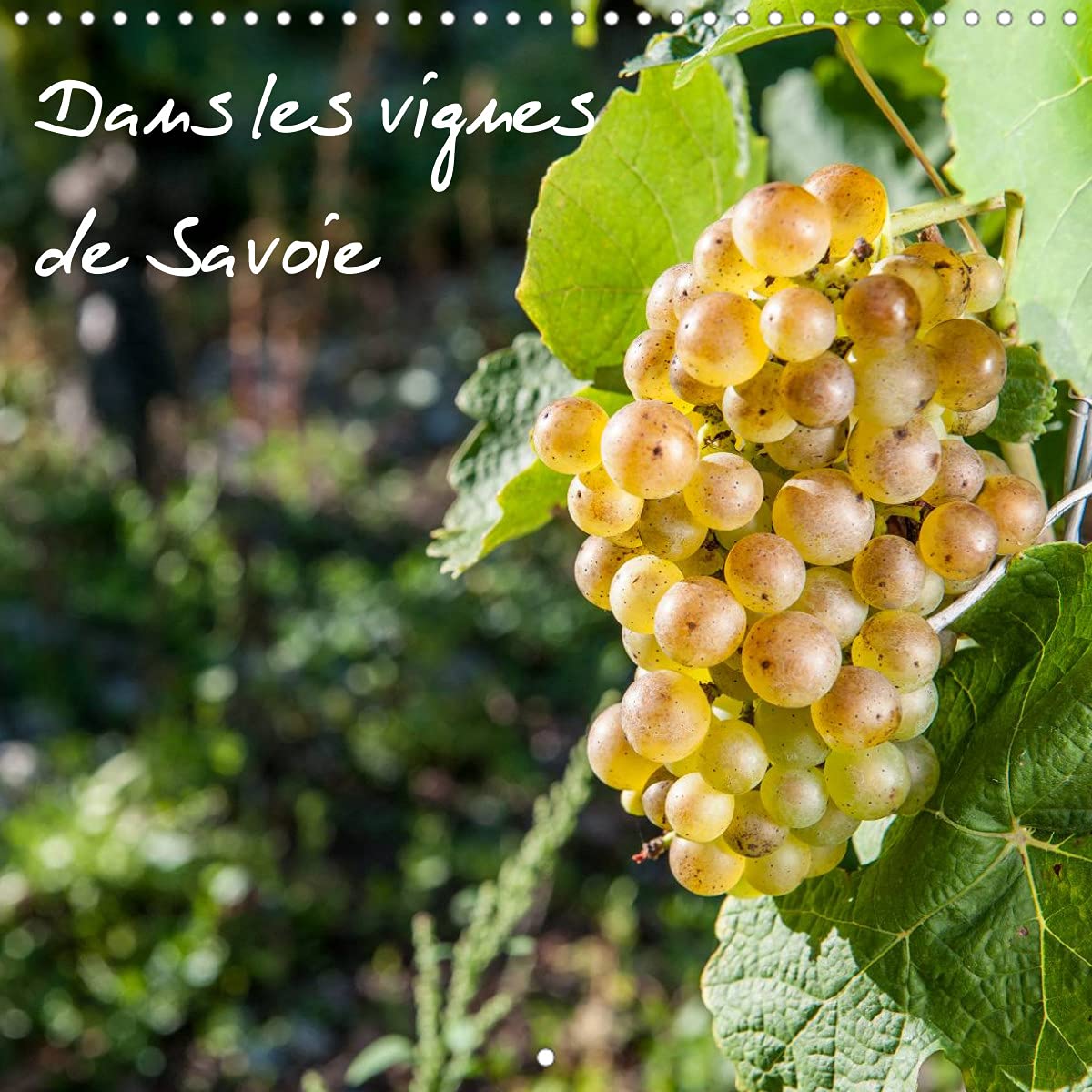 Dans les vignes de Savoie (Calendrier mural 2022 300 × 300 mm Square): Les vignes au pays de Savoie (Calendrier mensuel, 14 Pages ) Leisure, Home & Garden