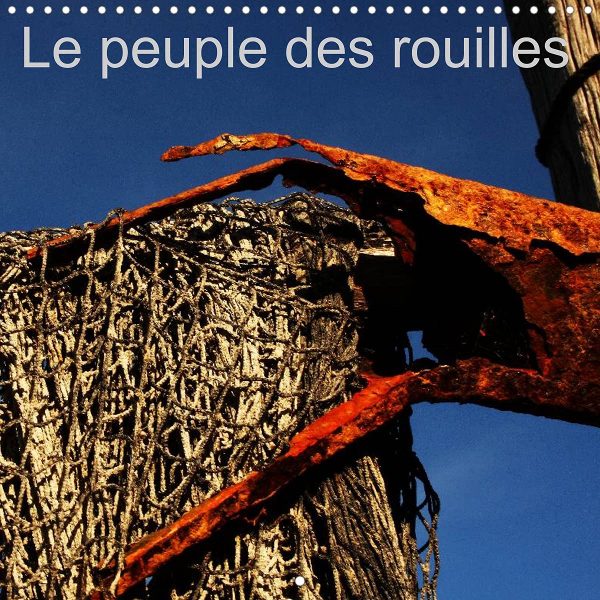 Le peuple des rouilles (Calendrier mural 2022 300 × 300 mm Square): Composition insolite, réunissant des objets ou matières au dehors des regards ... au quotidien. (Calendrier mensuel, 14 Pages ) Leisure, Home & Garden