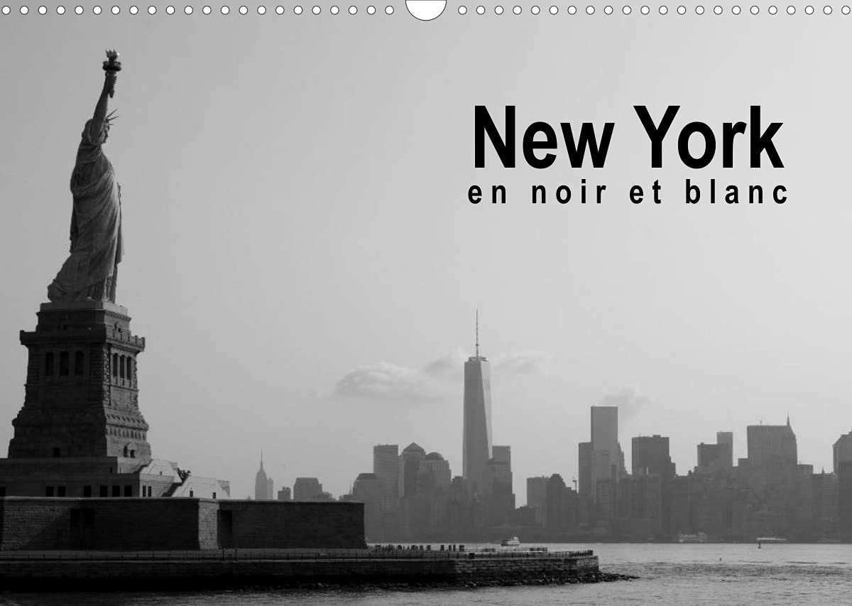 New York en noir et blanc (Calendrier mural 2022 DIN A3 horizontal): À la découverte de New York (Calendrier mensuel, 14 Pages ) book