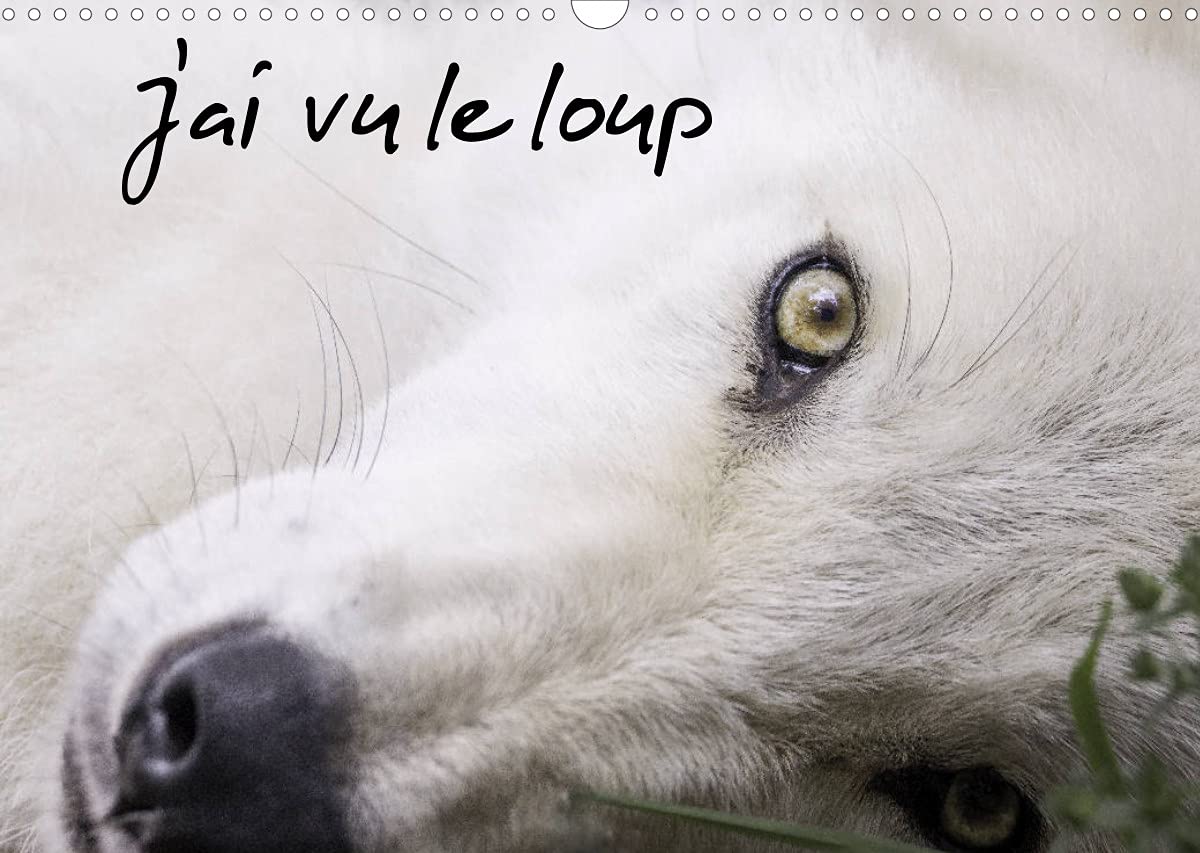J'ai vu le loup (Calendrier mural 2022 DIN A3 horizontal): Loups gris et loups arctiques du Canada (Calendrier mensuel, 14 Pages ) book