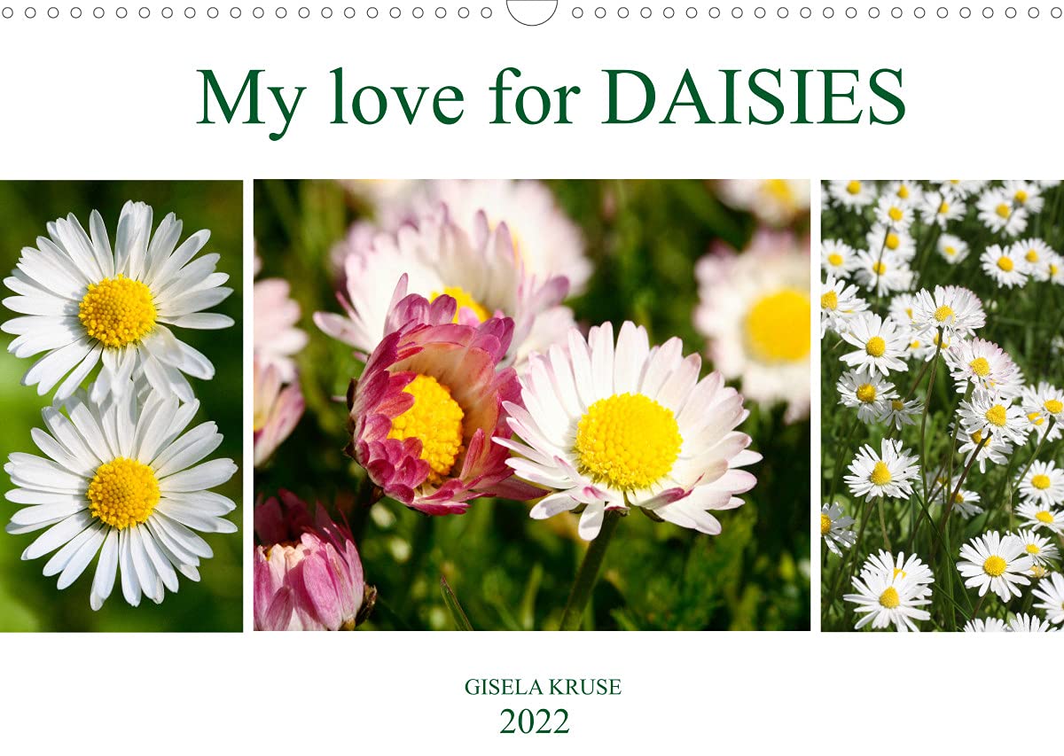 My love for daisies (Wall Calendar 2022 DIN A3 Landscape): Heart-touching small meadow flowers (Monthly calendar, 14 pages ) Leisure, Home & Garden