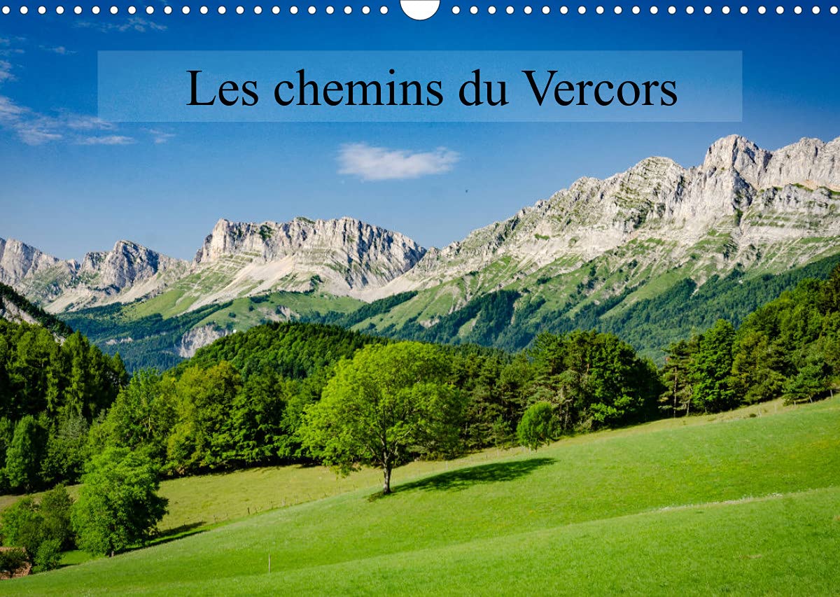 Les chemins du Vercors (Calendrier mural 2022 DIN A3 horizontal): Paysages du Vercors (Calendrier mensuel, 14 Pages ) Film, Art & Culture