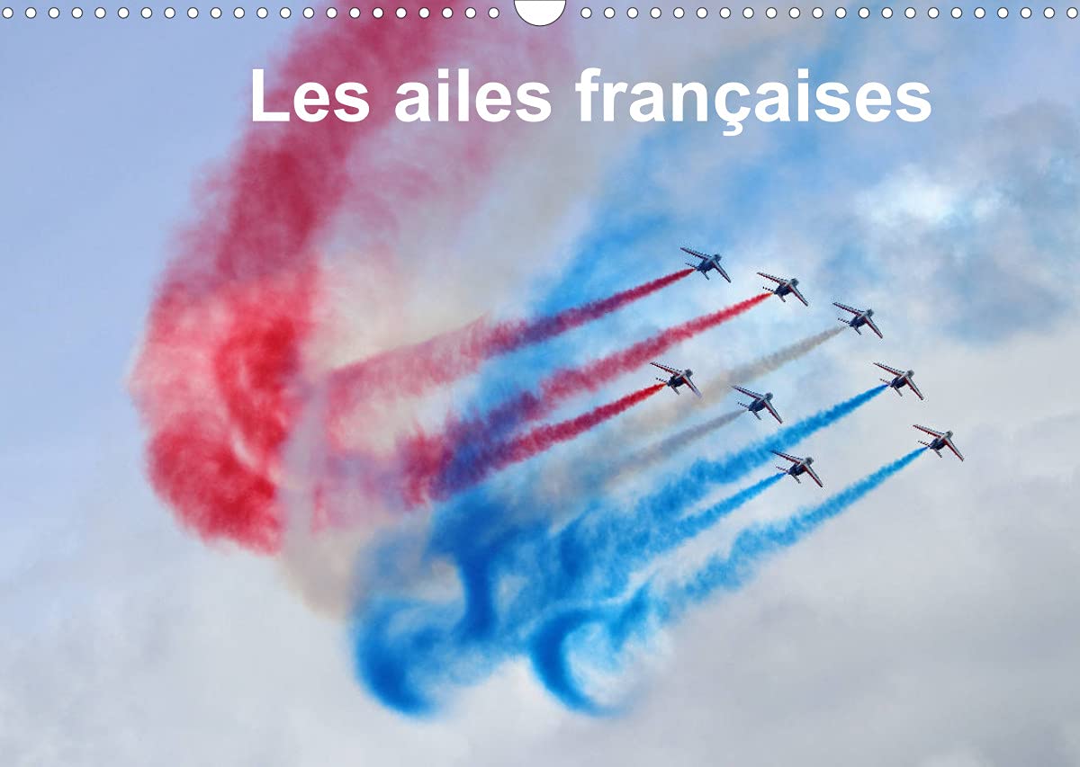 Les ailes françaises (Calendrier mural 2022 DIN A3 horizontal): Les ailes françaises escortent un Boeing (Calendrier mensuel, 14 Pages ) Business, Finance & Career