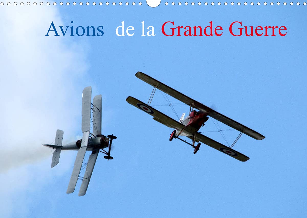 Avions de la Grande Guerre (Calendrier mural 2022 DIN A3 horizontal): Évolution de plusieurs avions de la première Guerre mondiale (Calendrier mensuel, 14 Pages ) book