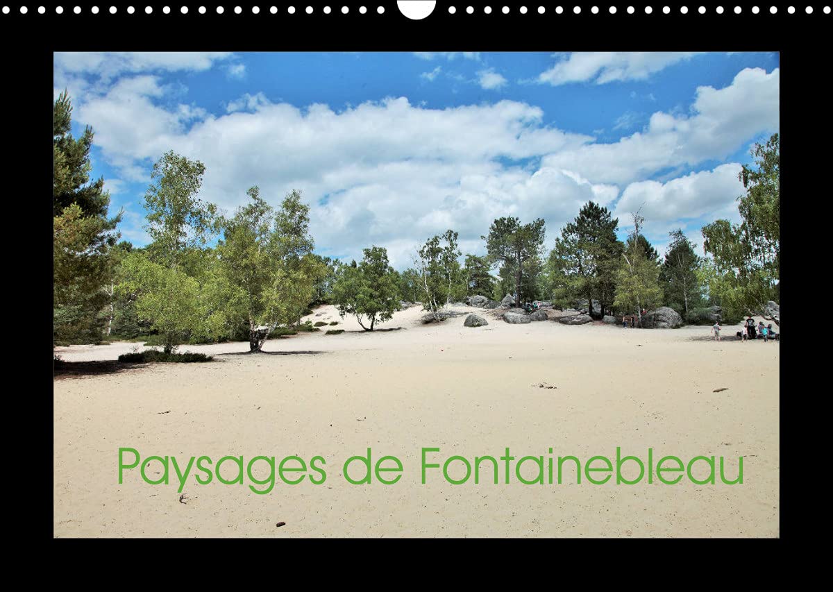 Paysages de Fontainebleau (Calendrier mural 2022 DIN A3 horizontal): Paysages de Fontainebleau, au fil des mois (Calendrier mensuel, 14 Pages ) book