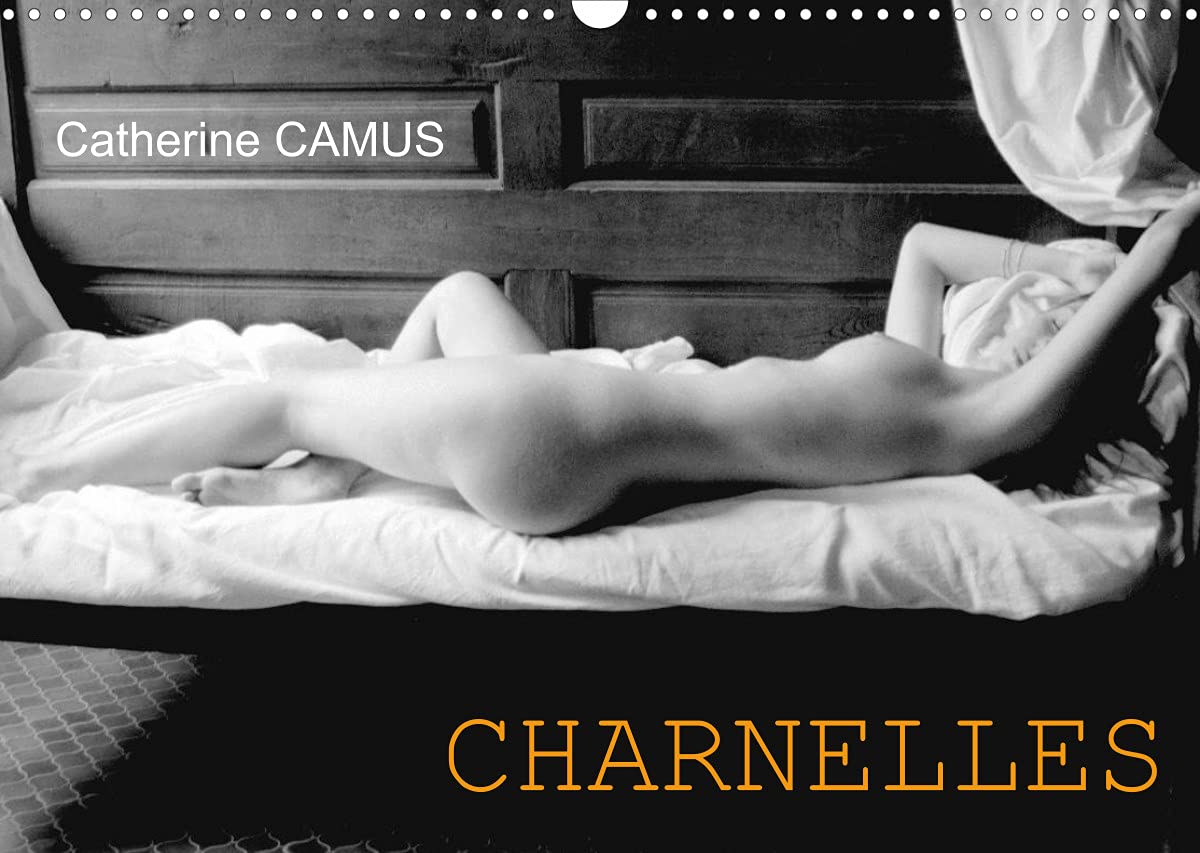 CHARNELLES (Calendrier mural 2022 DIN A3 horizontal): Nus féminins sensuels (Calendrier mensuel, 14 Pages ) book