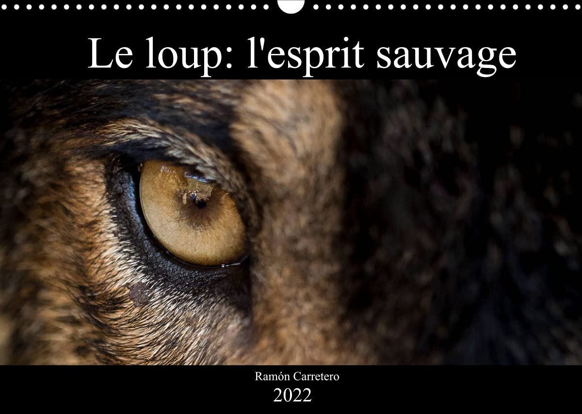Le loup: l'esprit sauvage (Calendrier mural 2022 DIN A3 horizontal): Des images incroyables de loups (Calendrier mensuel, 14 Pages ) book