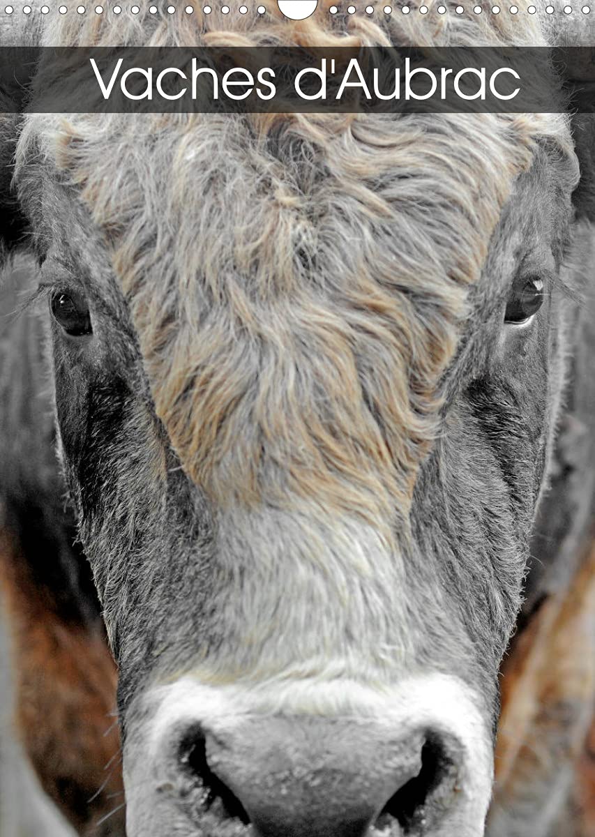 Vaches d'Aubrac (Calendrier mural 2022 DIN A3 vertical): Les vaches de la race Aubrac en Aveyron (Calendrier mensuel, 14 Pages ) book