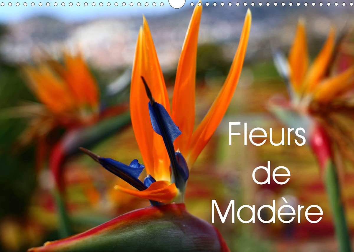 Fleurs de Madère (Calendrier mural 2022 DIN A3 horizontal): Une sélection de fleurs de Madère (Calendrier mensuel, 14 Pages ) book