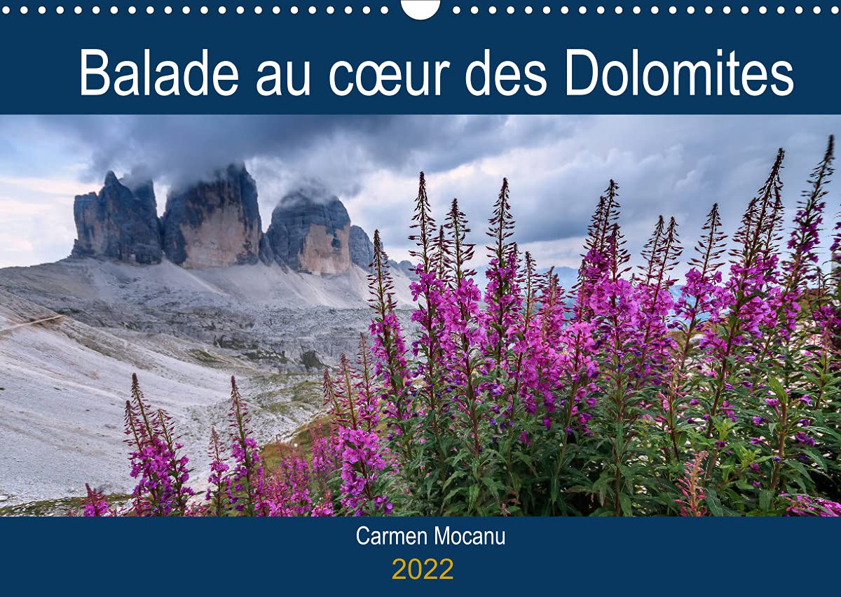 Balade au coeur des Dolomites (Calendrier mural 2022 DIN A3 horizontal): Venez découvrir les paysages magnifiques des Dolomites. (Calendrier anniversaire, 14 Pages ) book