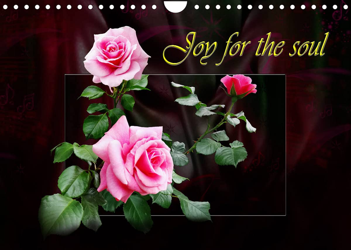 Joy for the soul (Wall Calendar 2022 DIN A4 Landscape): Illustrations of roses (Monthly calendar, 14 pages ) Leisure, Home & Garden
