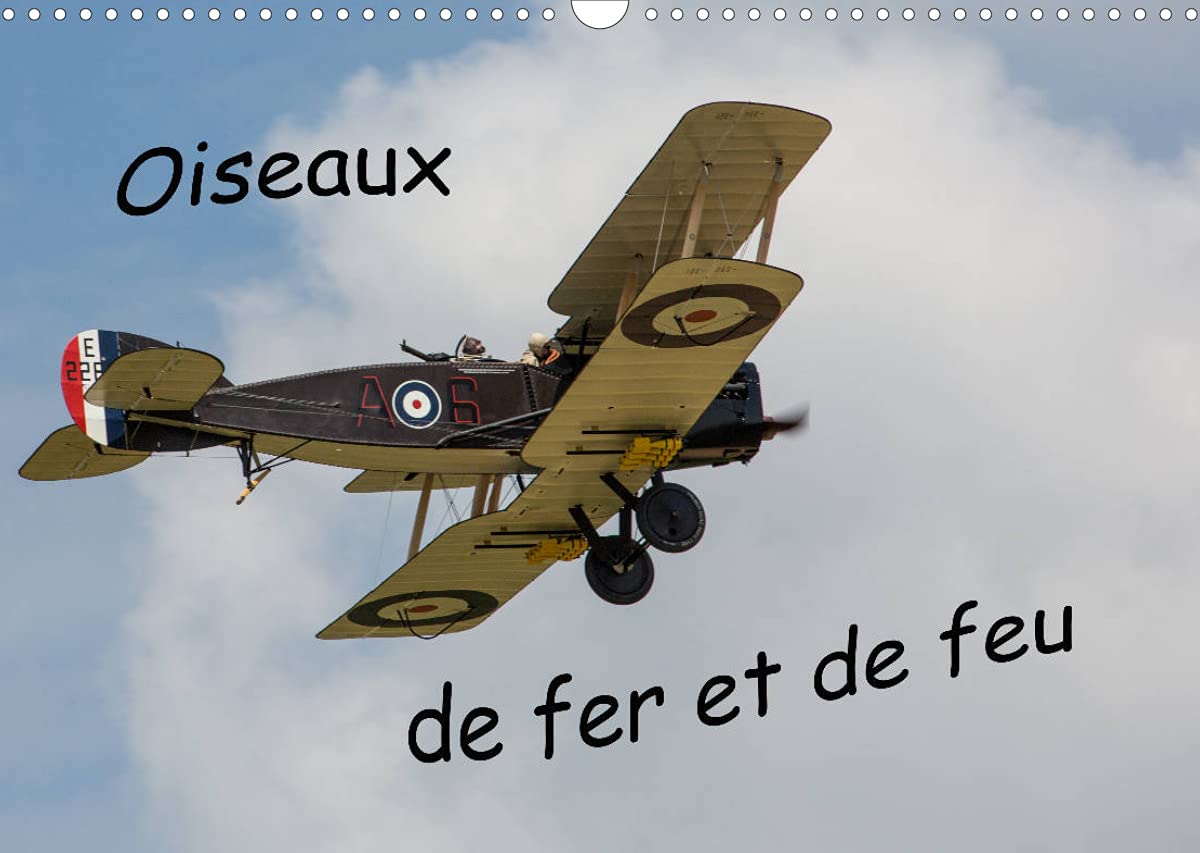 Oiseaux de fer et de feu (Calendrier mural 2022 DIN A3 horizontal): Exposition en plein ciel des avions parmi les plus anciens lors d'un meeting aérien. (Calendrier mensuel, 14 Pages ) book