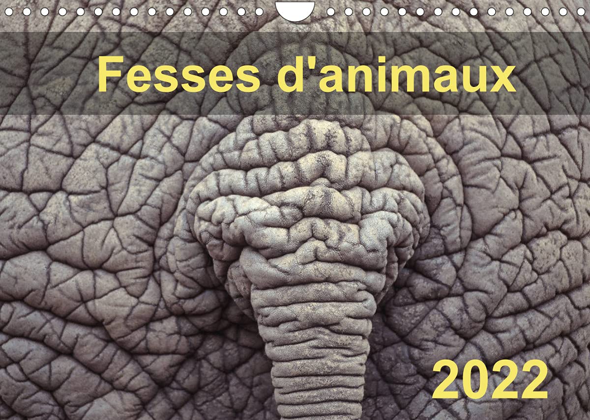 Fesses d'animaux (Calendrier mural 2022 DIN A4 horizontal): Douze photos d'animaux aux fesses poilues, larges, ridées, épineuses, colorées, mais ... animaux. (Calendrier mensuel, 14 Pages ) Leisure, Home & Garden