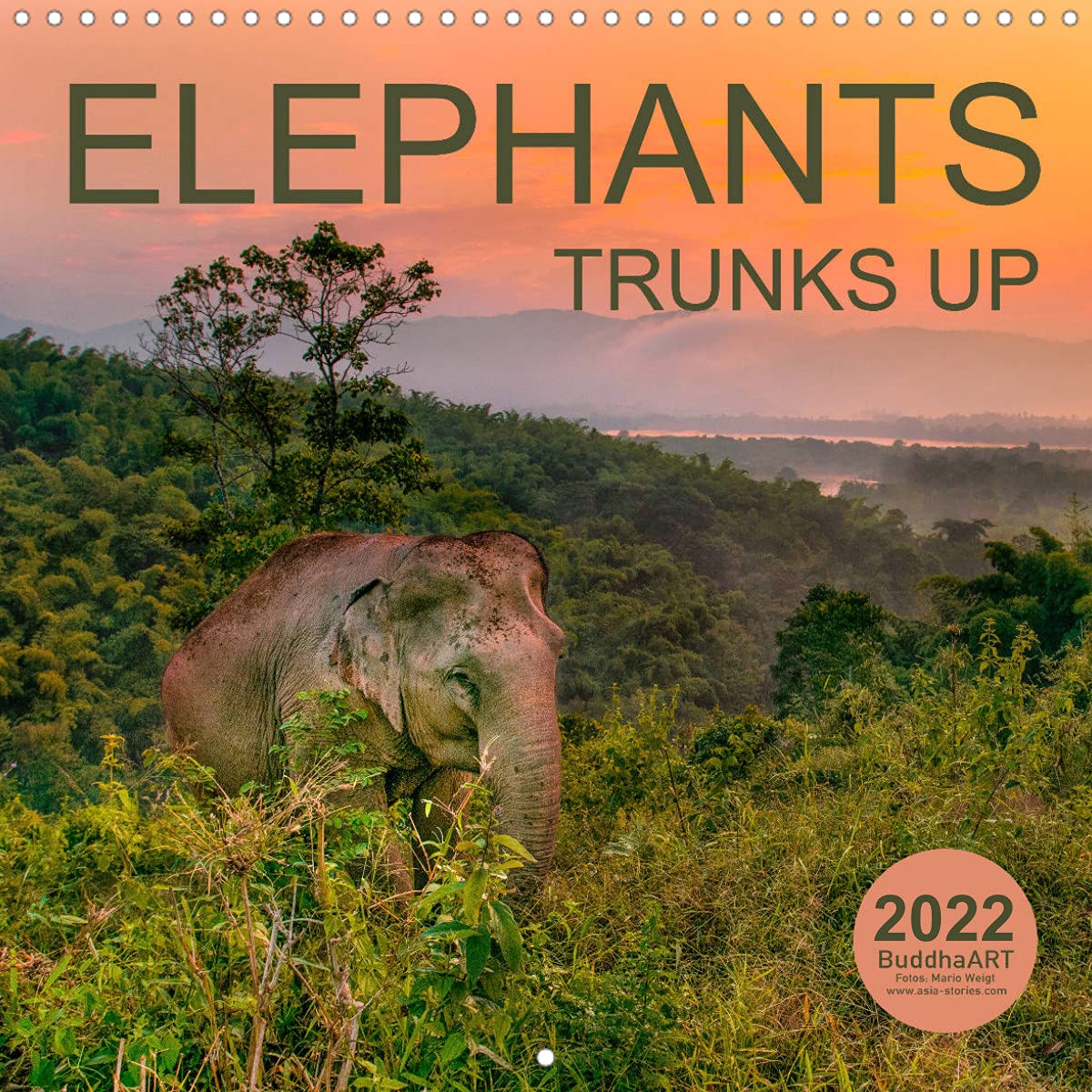 ELEPHANTS - TRUNKS UP (Wall Calendar 2022 300 × 300 mm Square): Asian pachyderms in the nature (Monthly calendar, 14 pages ) Natural Sciences